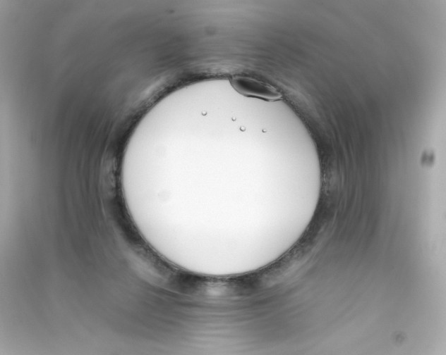 X0000090410264200708101926