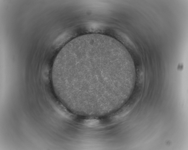 X0000090410266200708101926