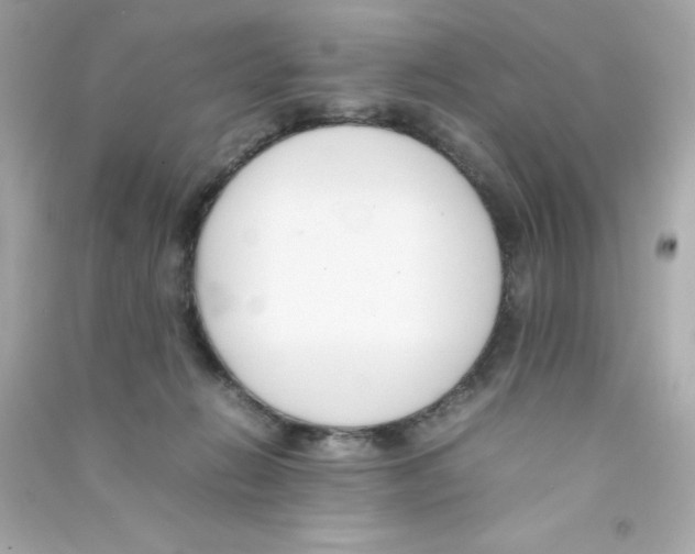 X0000090410270200708101926