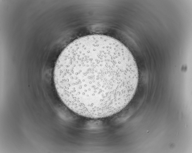 X0000090410271200708101926