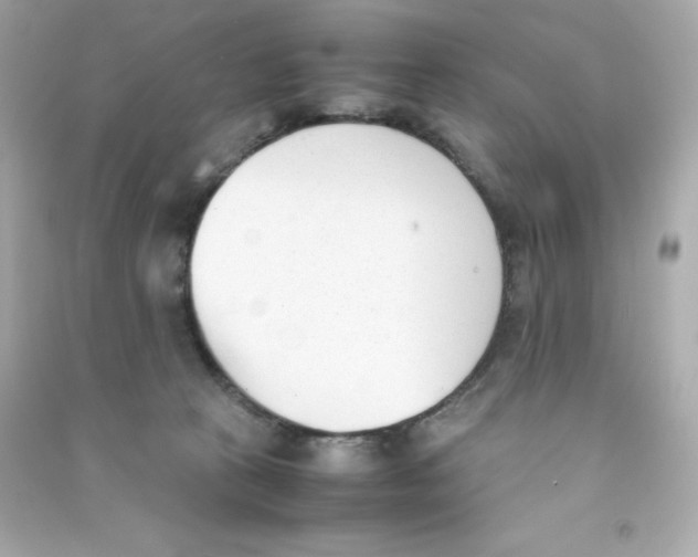 X0000090410273200708101926