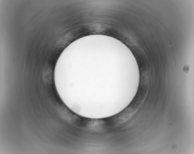 X0000090410274200708101926