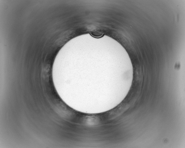 X0000090410275200708101926