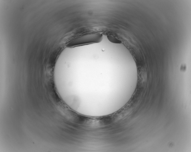 X0000090410276200708101926