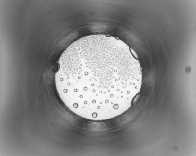 X0000090410277200708101926