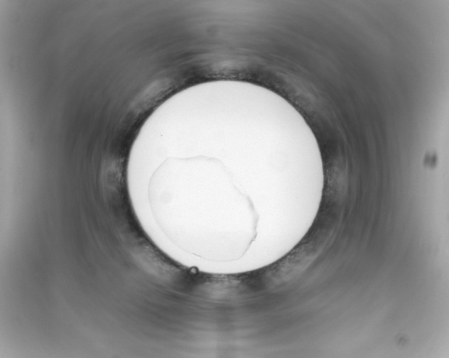 X0000090410278200708101926