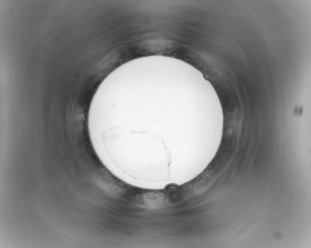 X0000090410279200708101926