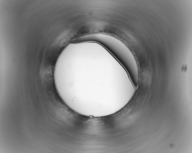 X0000090410280200708101926