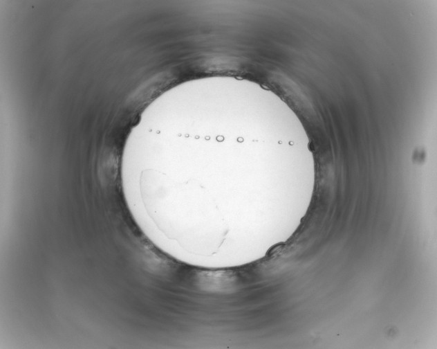 X0000090410281200708101926