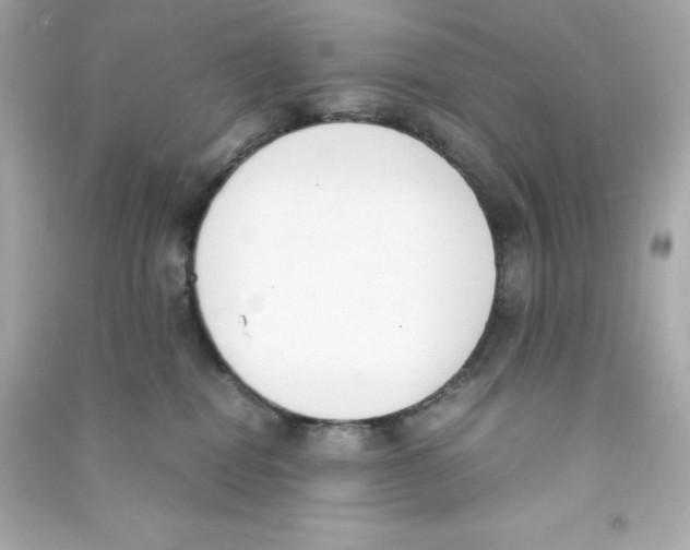 X0000090410282200708101926