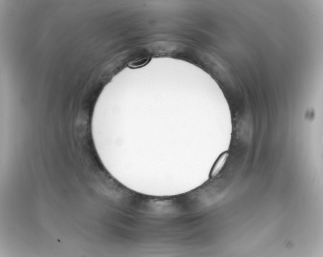 X0000090410283200708101926