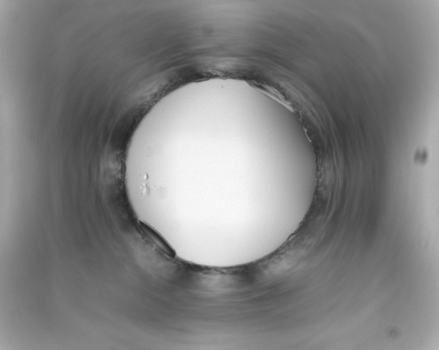 X0000090410284200708101926