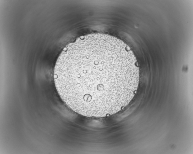 X0000090410285200708101926