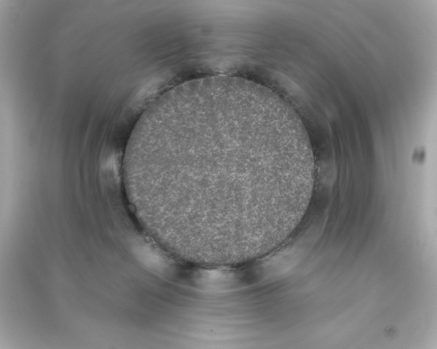 X0000090410286200708101926