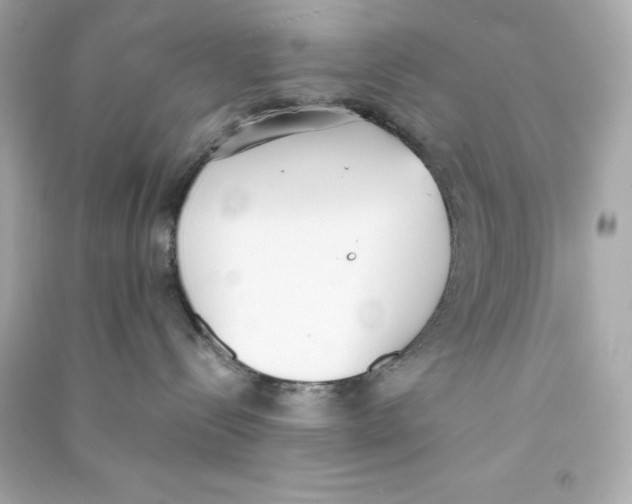 X0000090410288200708101926