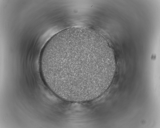 X0000090410290200708101926