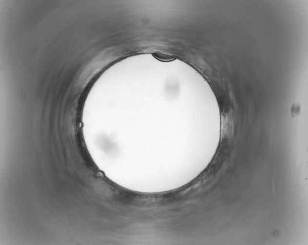 X0000090410291200708101926