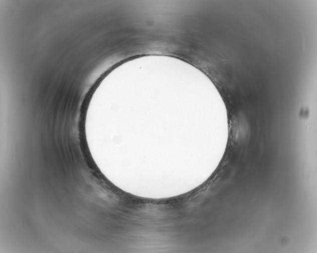 X0000090410292200708101926