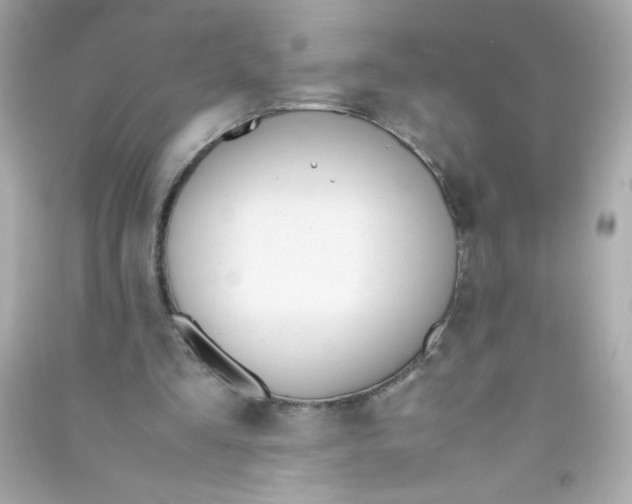 X0000090410293200708101926