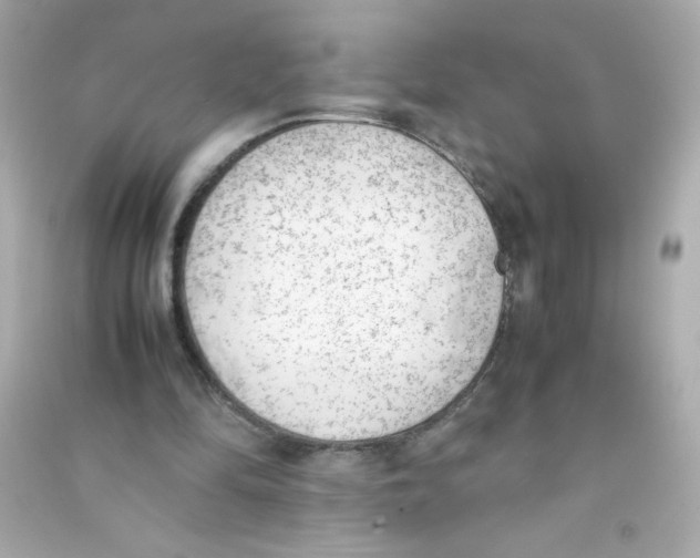 X0000090410294200708101926