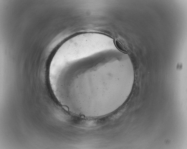 X0000090410295200708101926