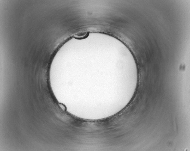 X0000090410297200708101926