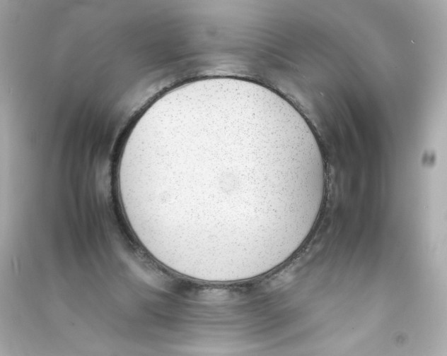 X0000090410298200708101926