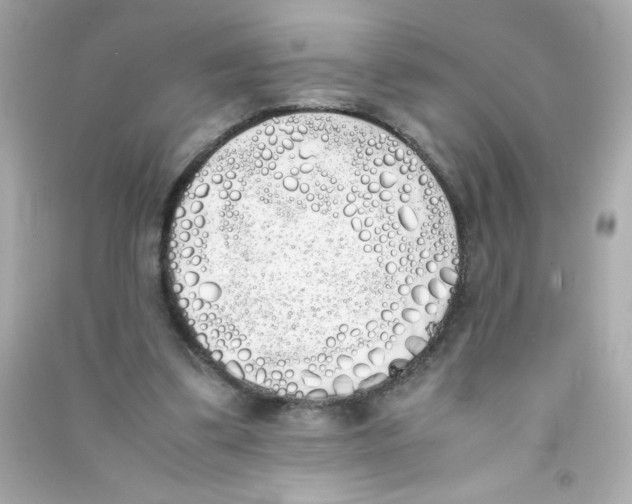 X0000090410299200708101926