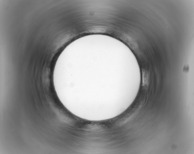 X0000090410300200708101926