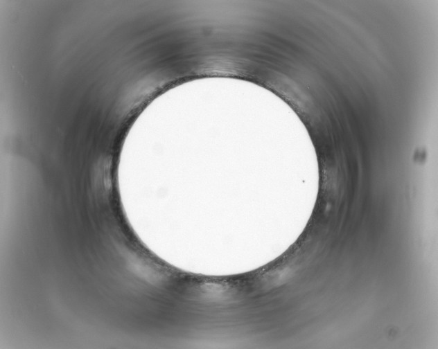 X0000090410302200708101925