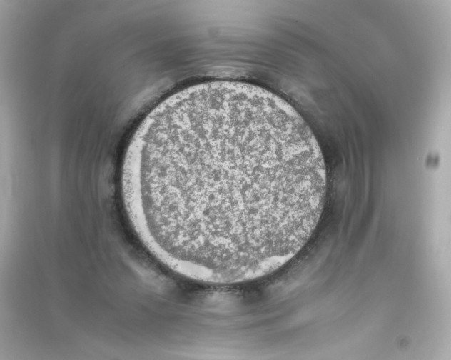 X0000090410303200708101925