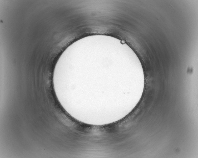 X0000090410305200708101925