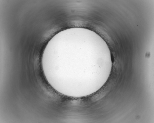 X0000090410306200708101925