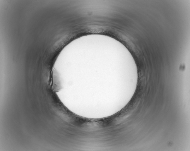 X0000090410307200708101925