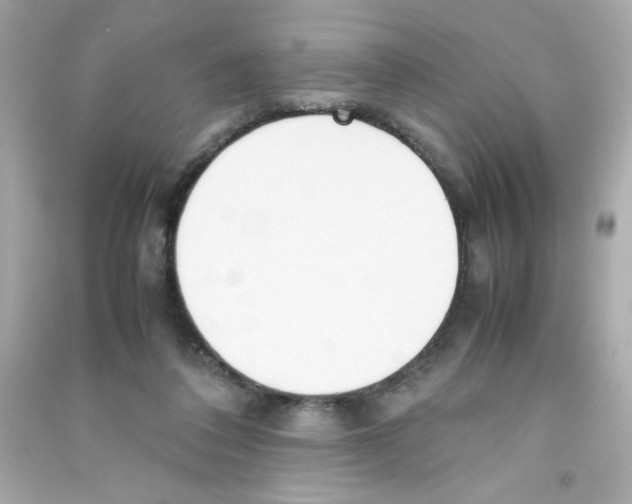 X0000090410308200708101925