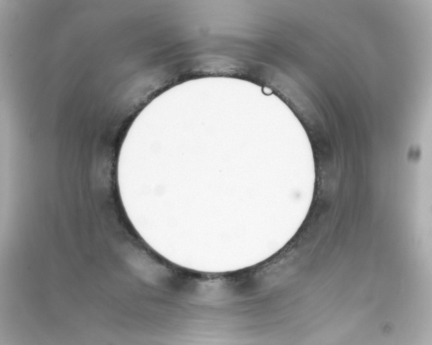 X0000090410309200708101925