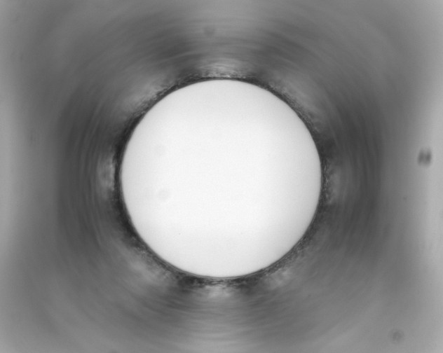 X0000090410310200708101925