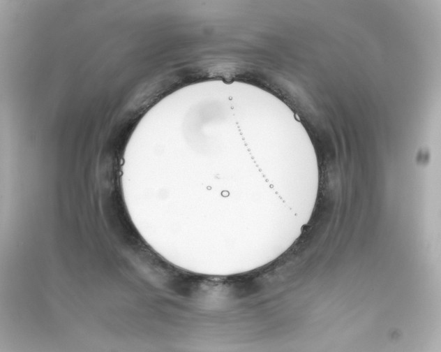 X0000090410311200708101925