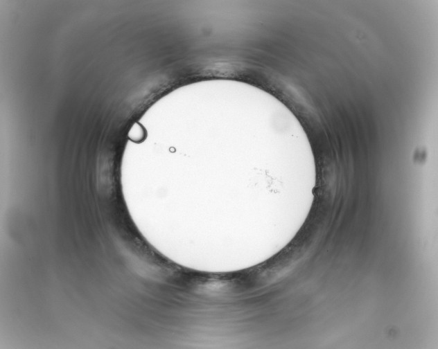 X0000090410312200708101925