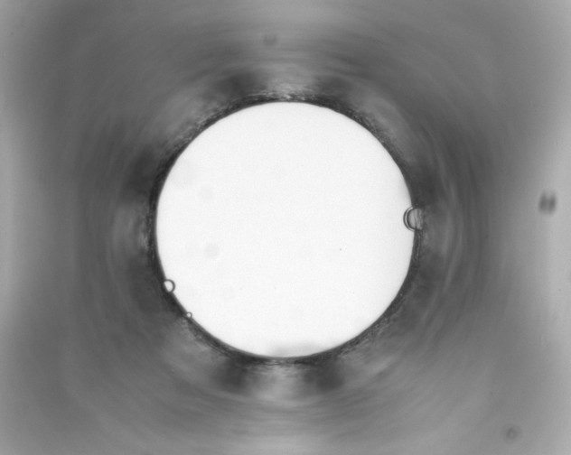 X0000090410313200708101925