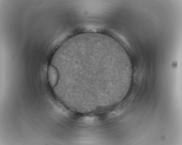 X0000090410314200708101925