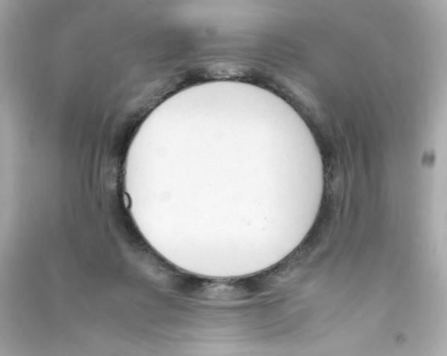 X0000090410315200708101925