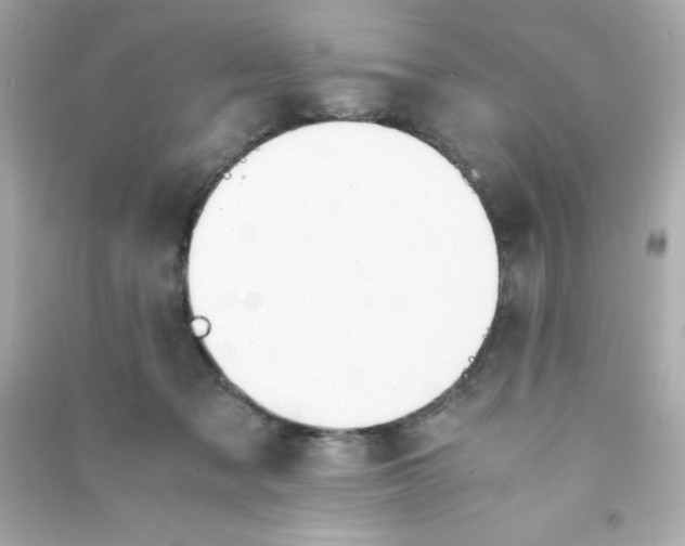 X0000090410317200708101925