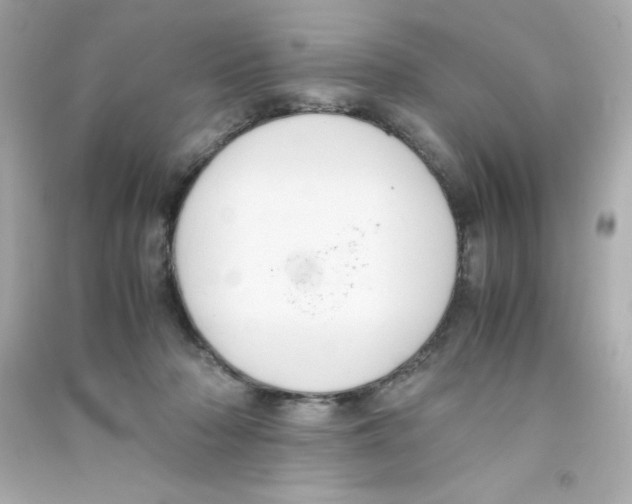 X0000090410318200708101925