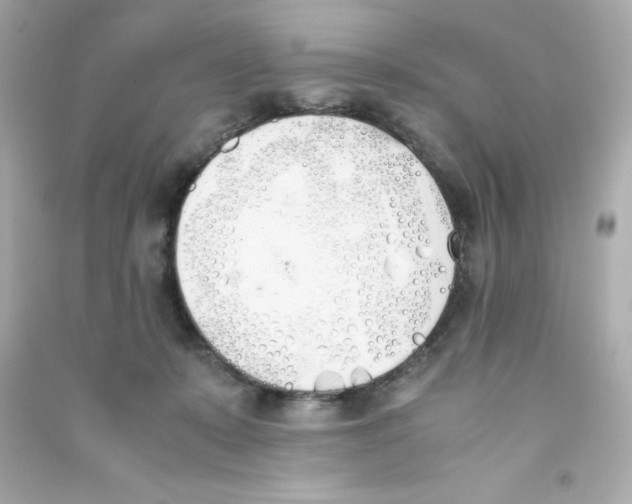 X0000090410319200708101925