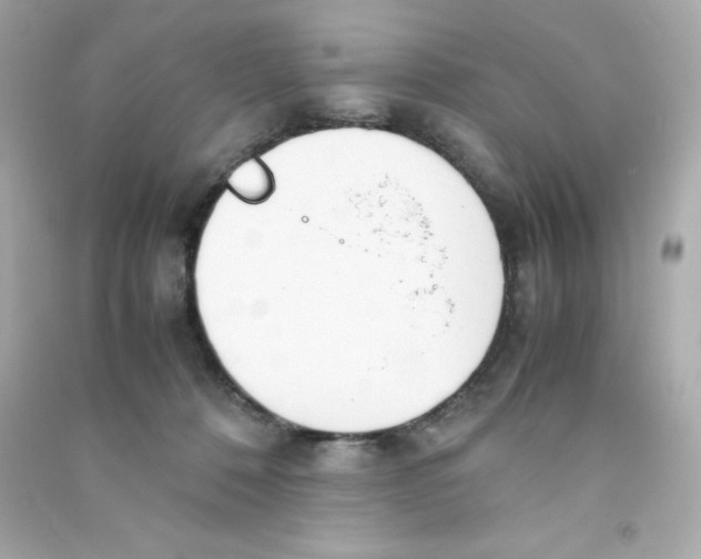 X0000090410320200708101925