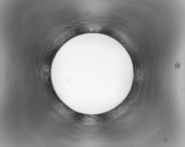 X0000090410321200708101925