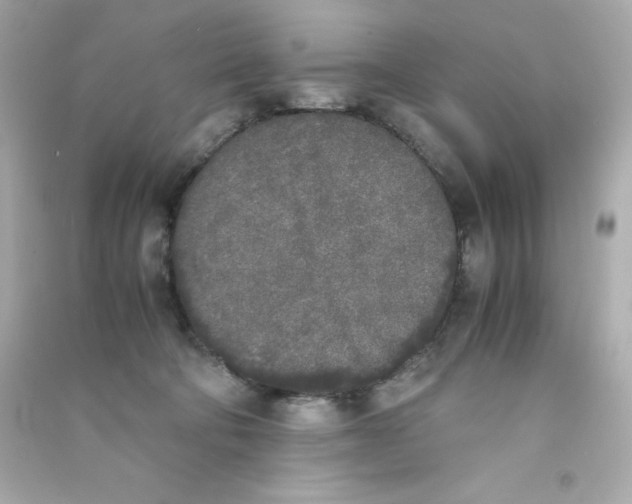 X0000090410322200708101925