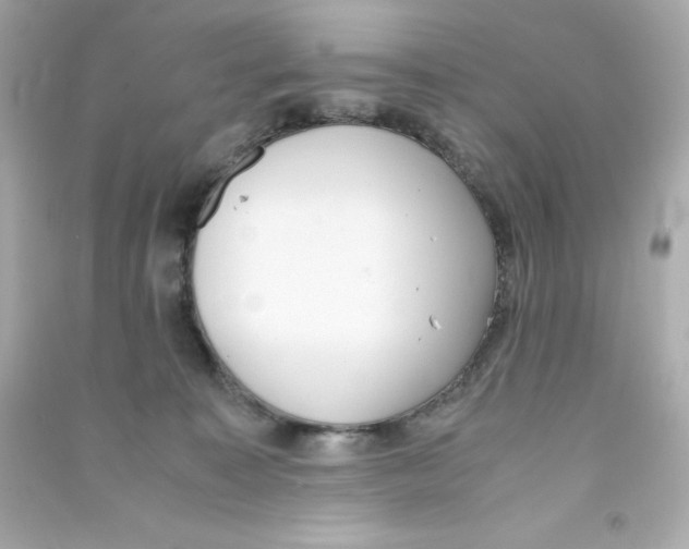 X0000090410323200708101925