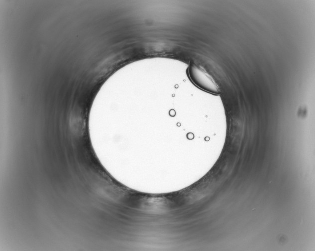 X0000090410324200708101925